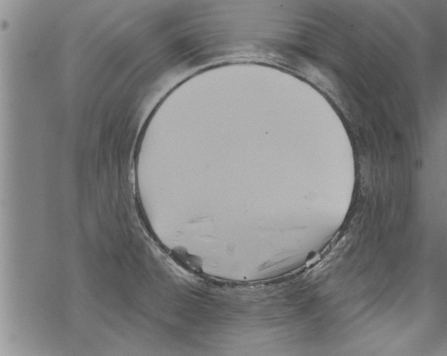 X0000067511428200605051818