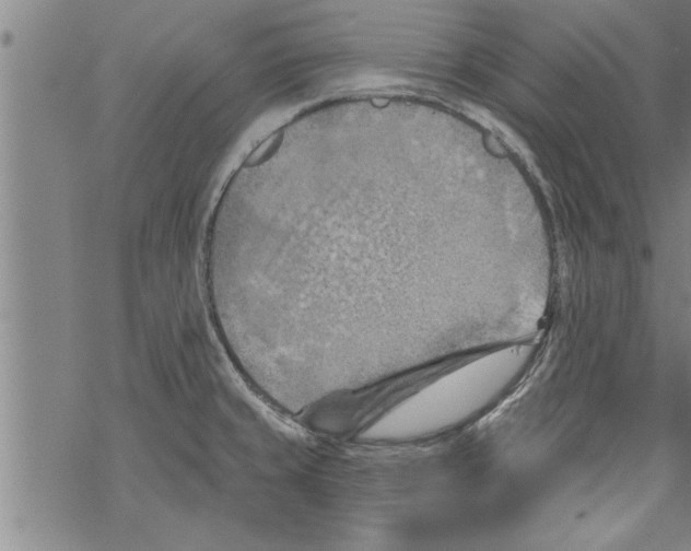 X0000067511429200605051818