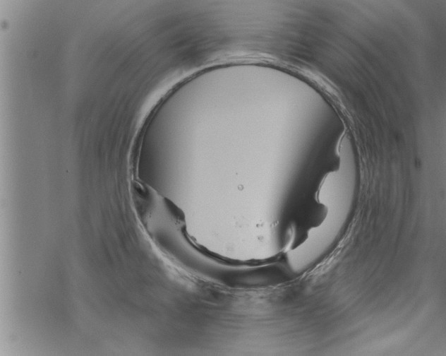 X0000067511430200605051818