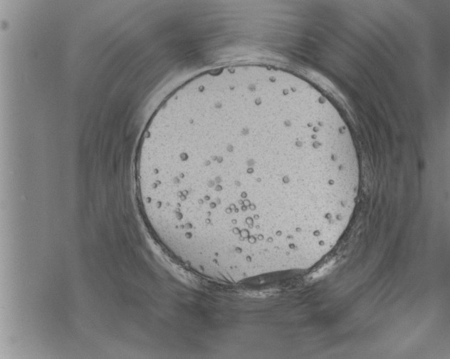 X0000067511431200605051818