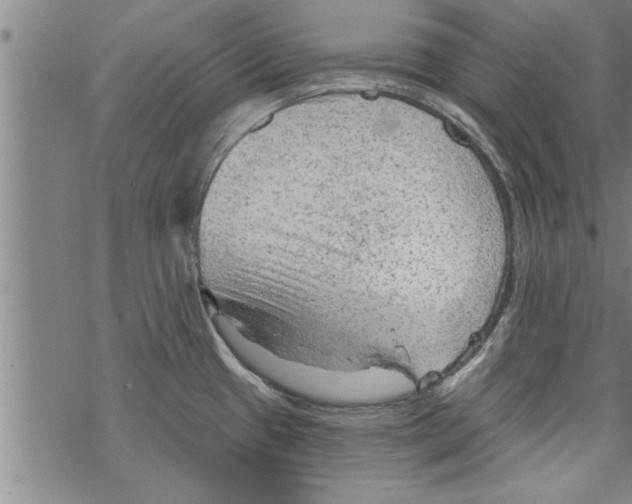 X0000067511433200605051818