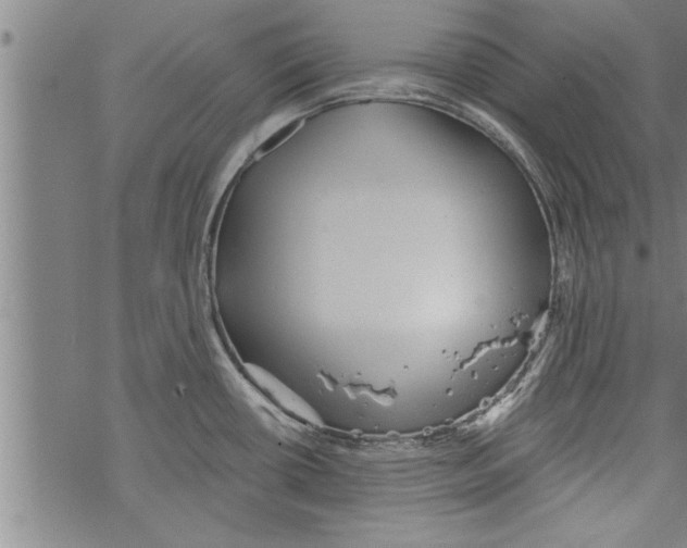 X0000067511434200605051818