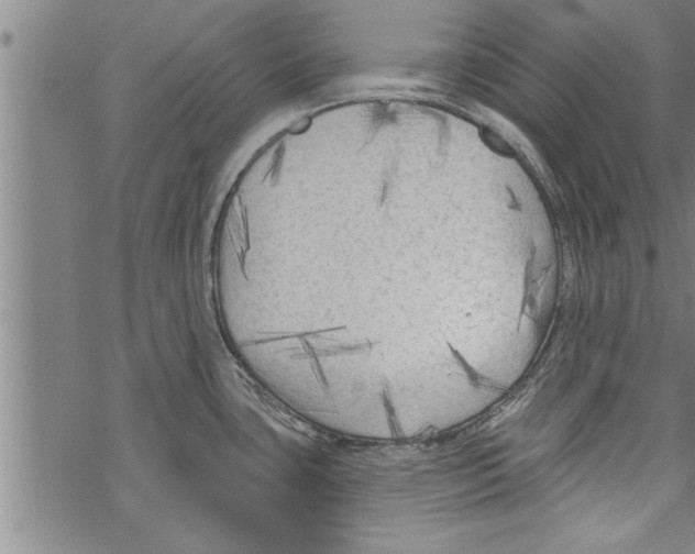 X0000067511435200605051818