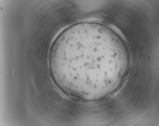 X0000067511436200605051818