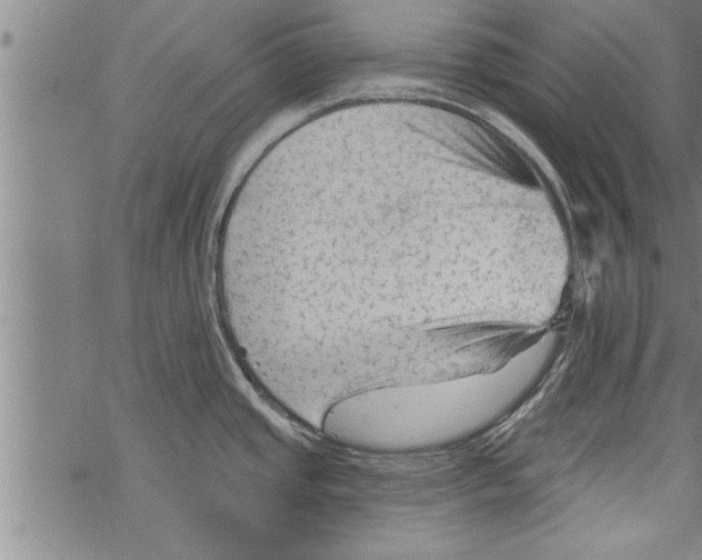 X0000067511437200605051818