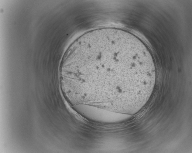 X0000067511439200605051818