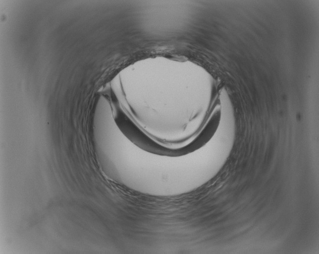 X0000067511441200605051817