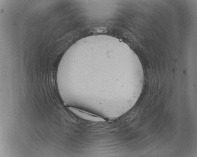 X0000067511442200605051817