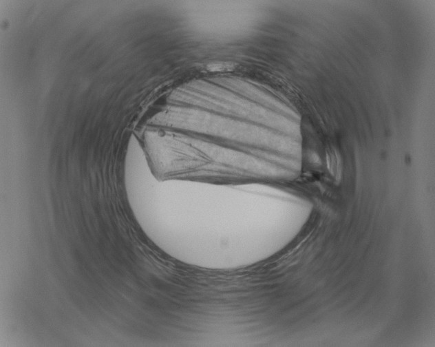 X0000067511443200605051817