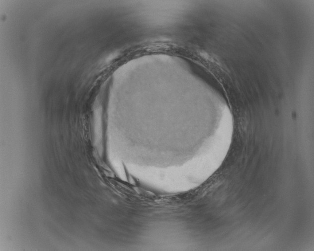 X0000067511445200605051817