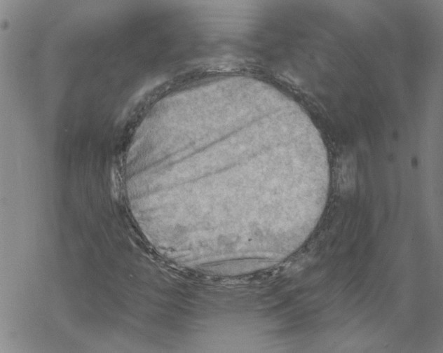 X0000067511446200605051817