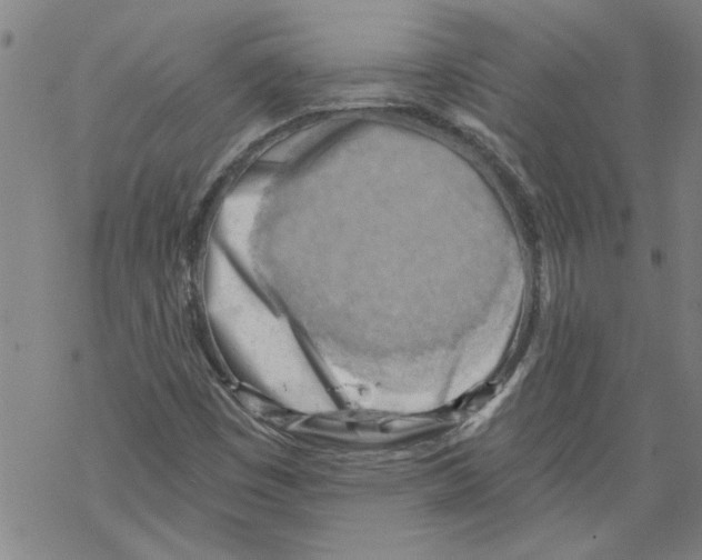 X0000067511449200605051817