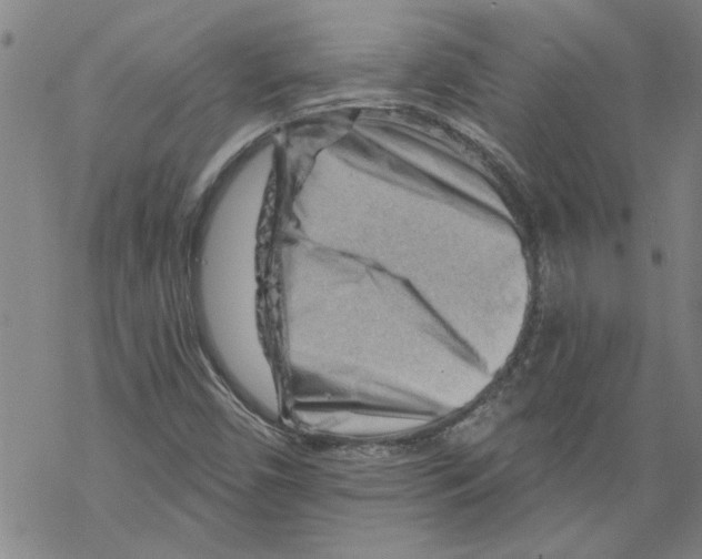 X0000067511450200605051817