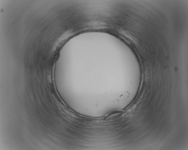 X0000067511451200605051817