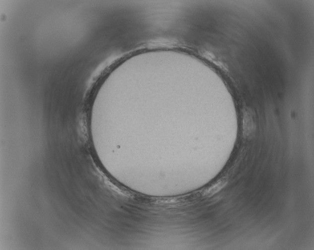 X0000067511454200605051817