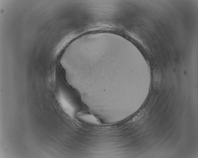 X0000067511455200605051817