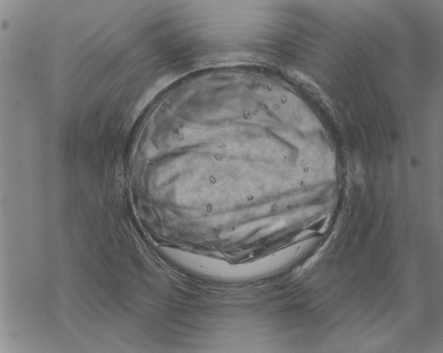 X0000067511457200605051817