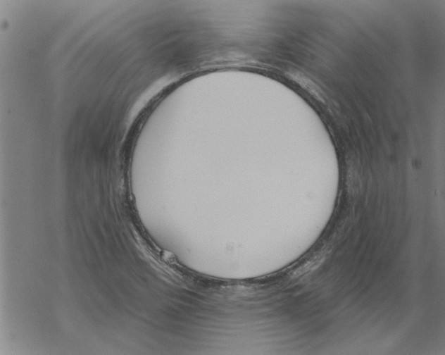 X0000067511458200605051817