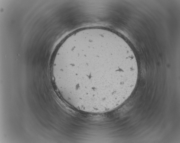 X0000067511460200605051817