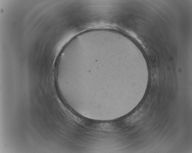 X0000067511463200605051817