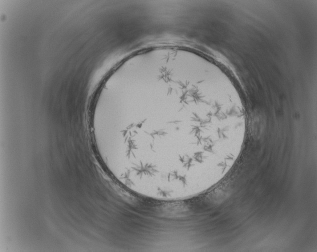 X0000067511464200605051817