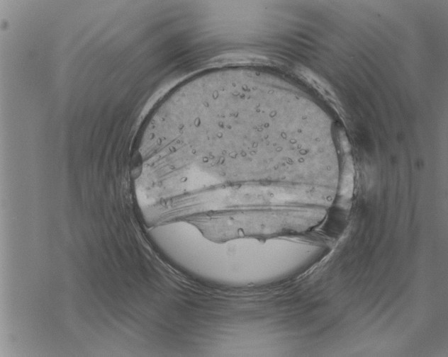 X0000067511465200605051817