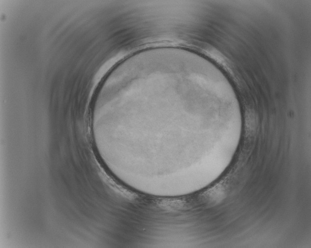 X0000067511466200605051817