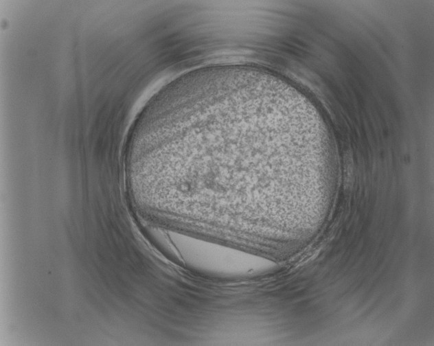 X0000067511467200605051817