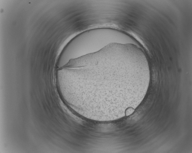 X0000067511468200605051817