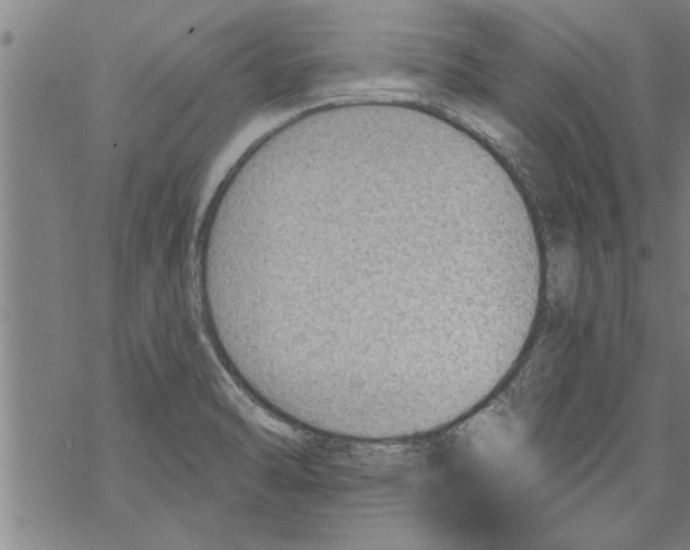 X0000067511470200605051817