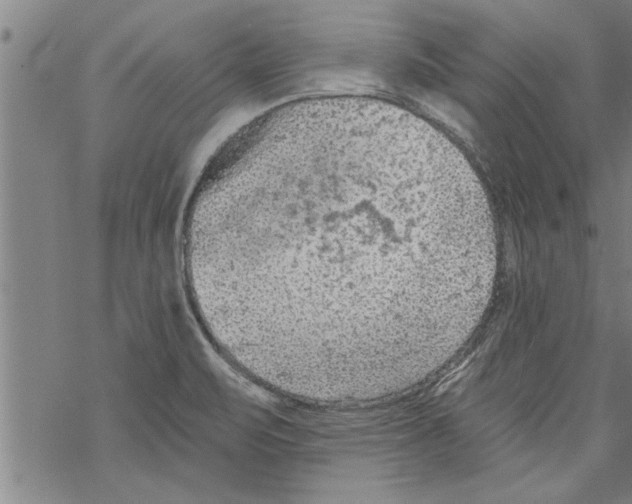 X0000067511471200605051817