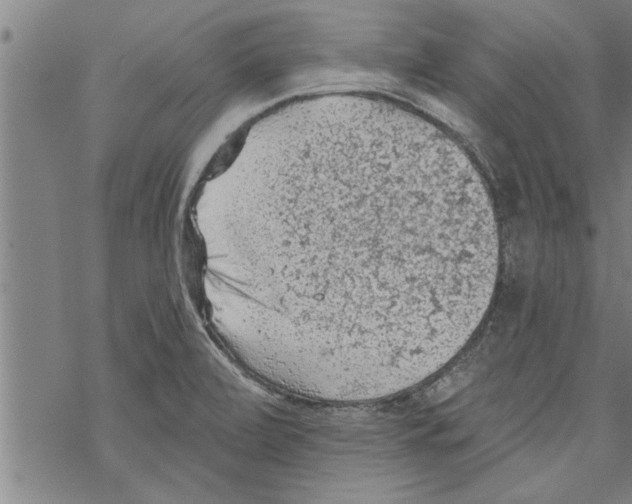 X0000067511472200605051817