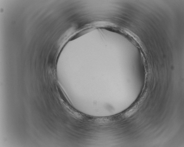 X0000067511473200605051816