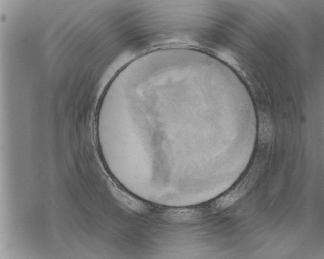 X0000067511474200605051816