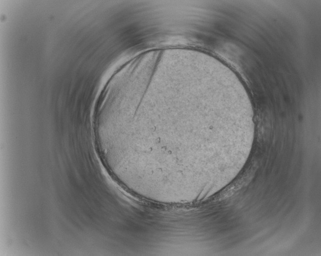 X0000067511475200605051816