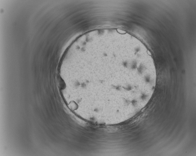 X0000067511476200605051816