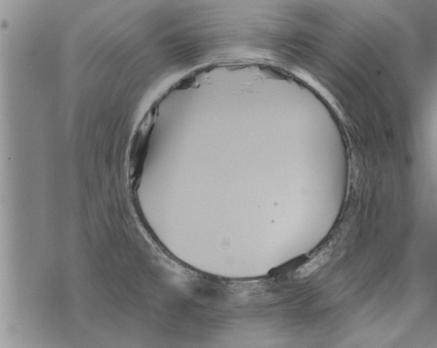 X0000067511477200605051816