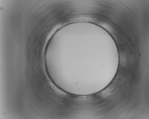 X0000067511478200605051816