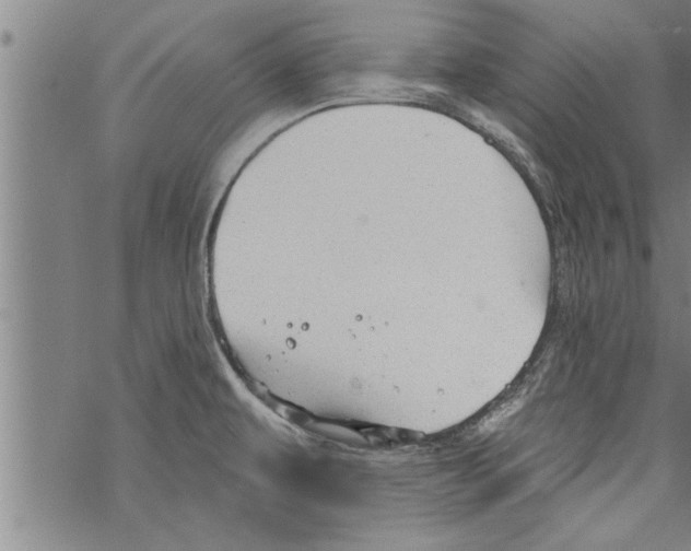 X0000067511479200605051816