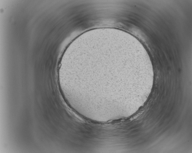 X0000067511480200605051816