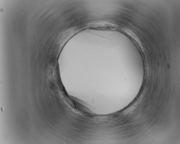 X0000067511481200605051816