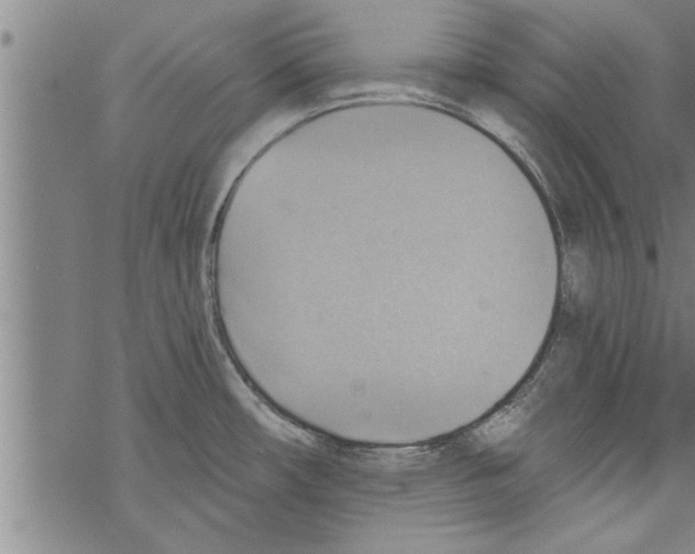 X0000067511482200605051816