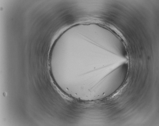 X0000067511485200605051816