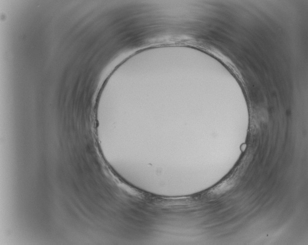 X0000067511486200605051816