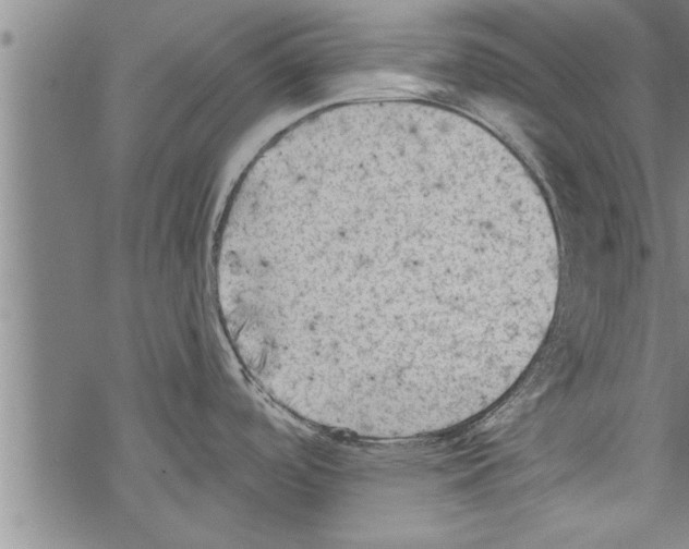 X0000067511488200605051816