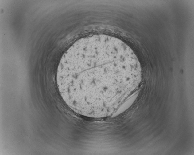 X0000067511489200605051815