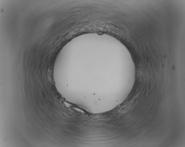 X0000067511490200605051815