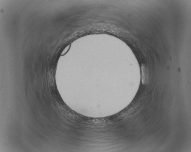 X0000067511491200605051815