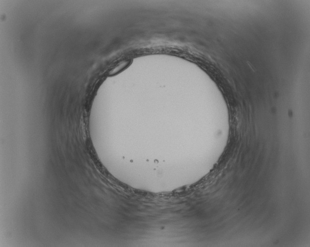 X0000067511493200605051816