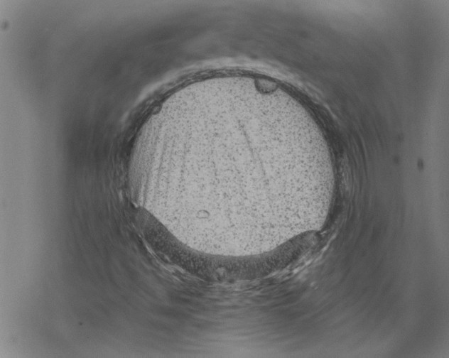 X0000067511494200605051816